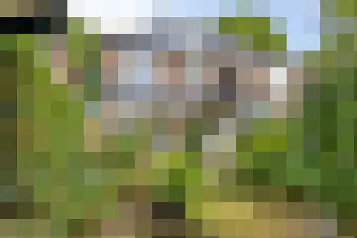 Heeckerenlaan 16 Zutphen thumbnail 56