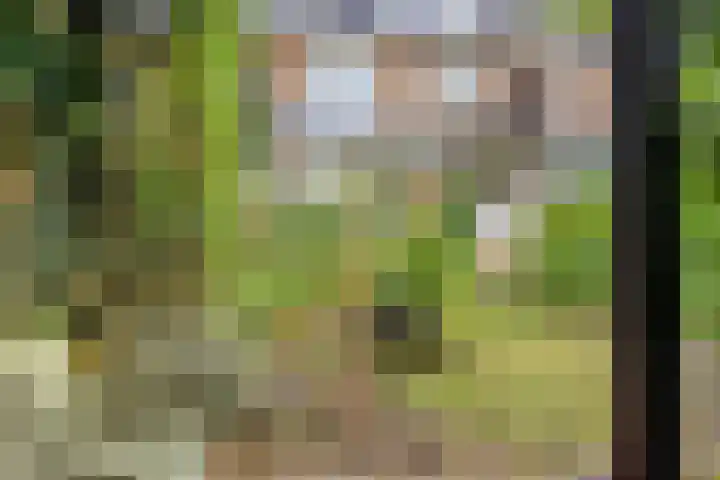 Heeckerenlaan 16 Zutphen thumbnail 57