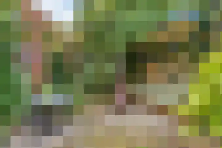 Heeckerenlaan 16 Zutphen thumbnail 58
