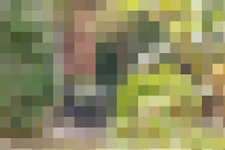 Heeckerenlaan 16 Zutphen thumbnail 60