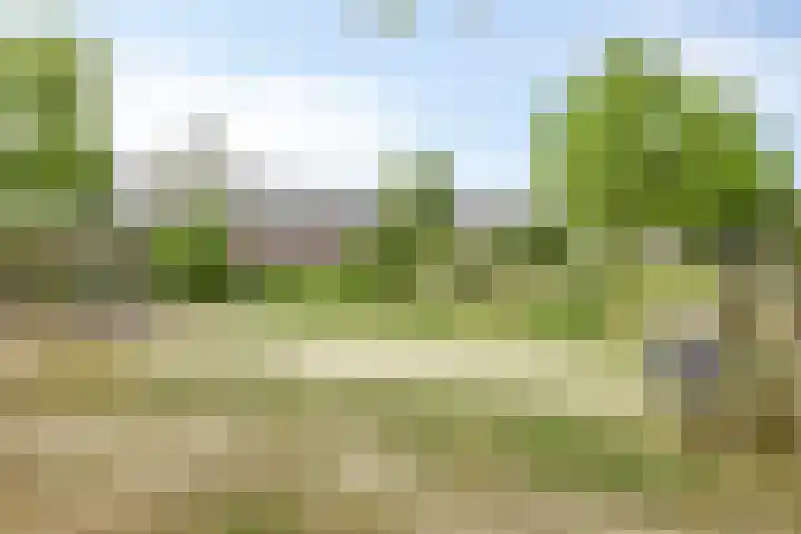 Heeckerenlaan 16 Zutphen thumbnail 64