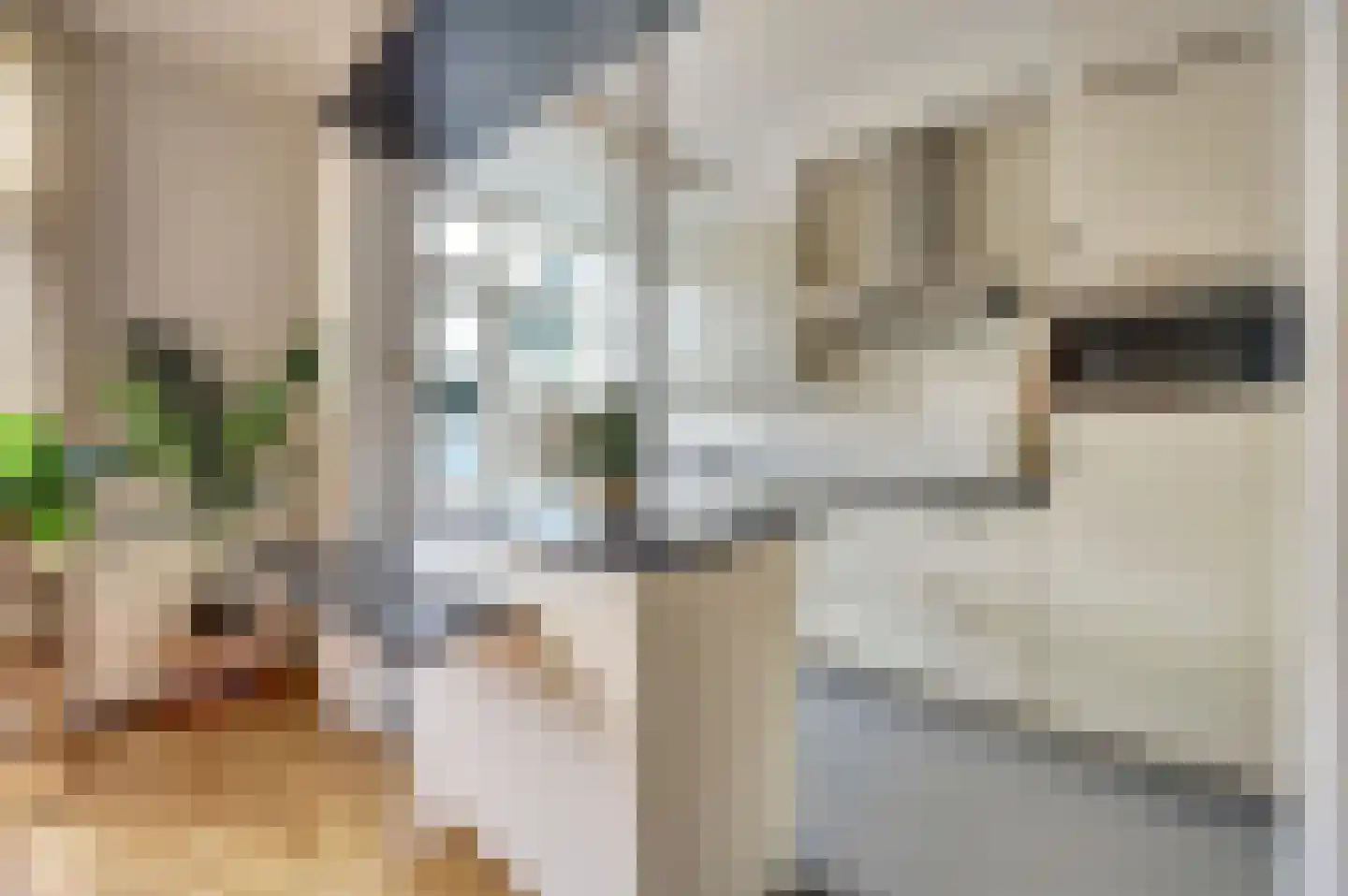 Heeckerenlaan 27 Zutphen thumbnail 13