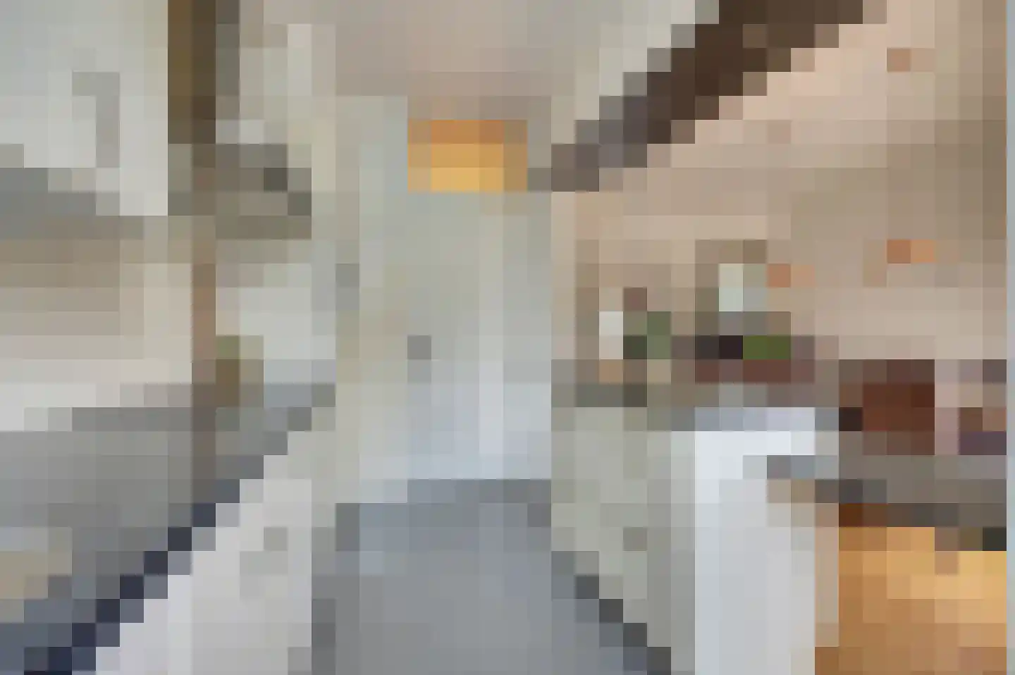 Heeckerenlaan 27 Zutphen thumbnail 14