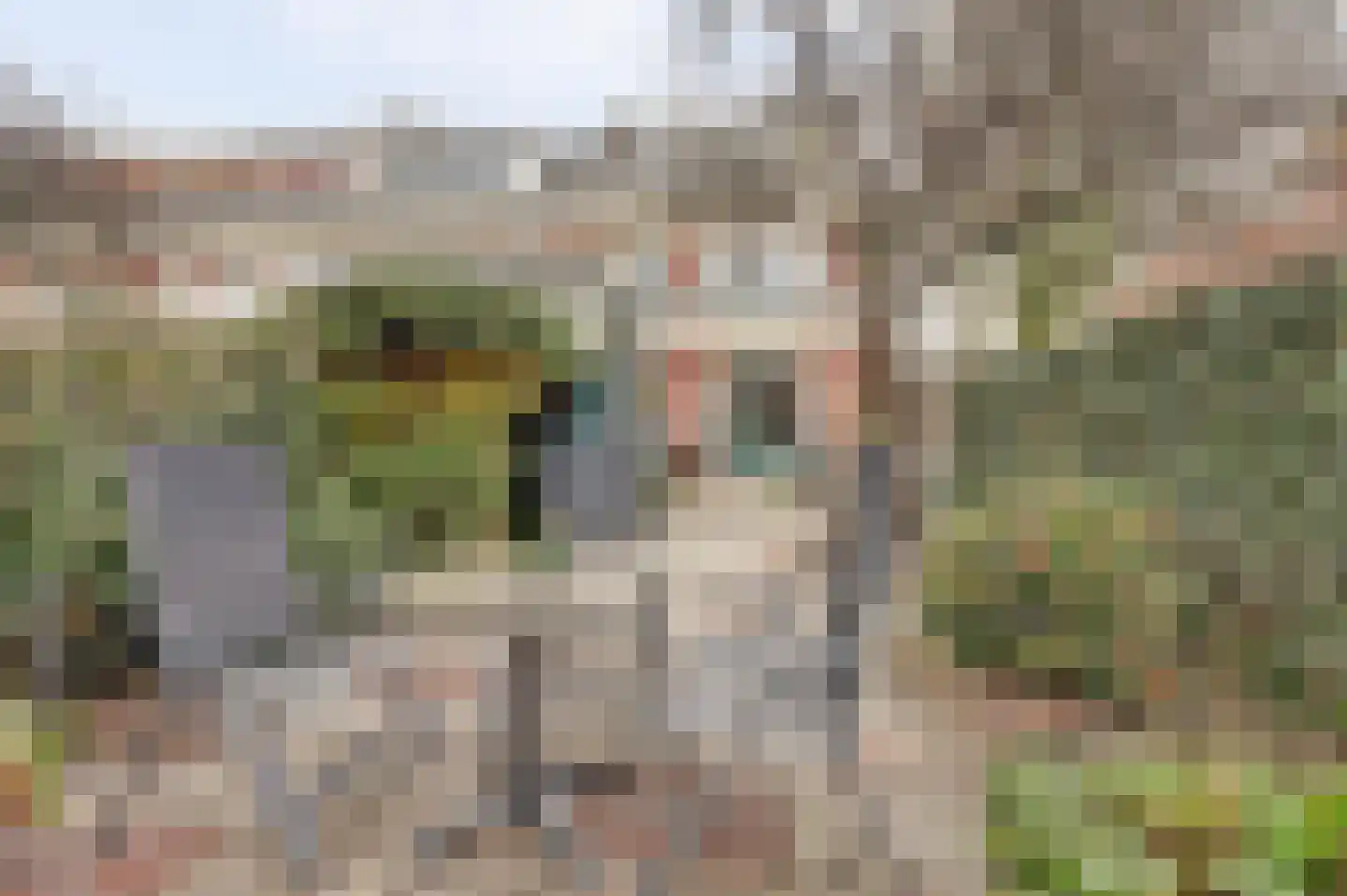 Heeckerenlaan 27 Zutphen thumbnail 34