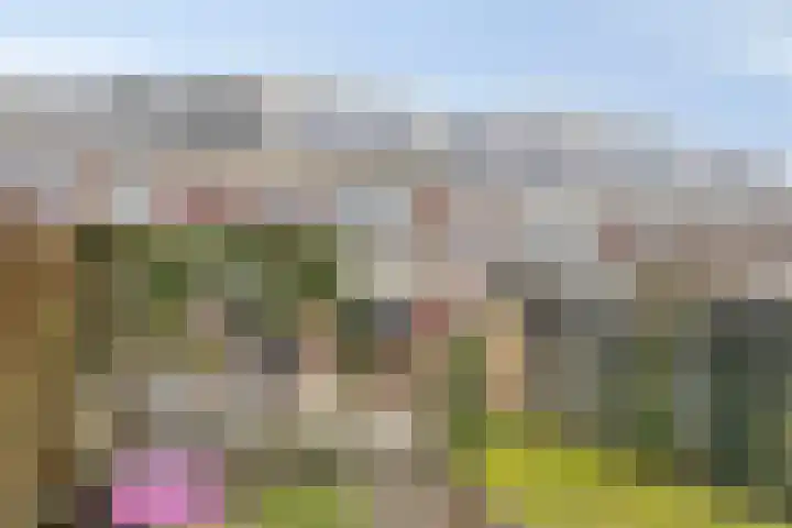Heeckerenlaan 33 Zutphen thumbnail 22