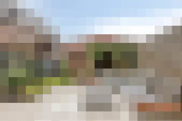 Heeckerenlaan 33 Zutphen thumbnail 23