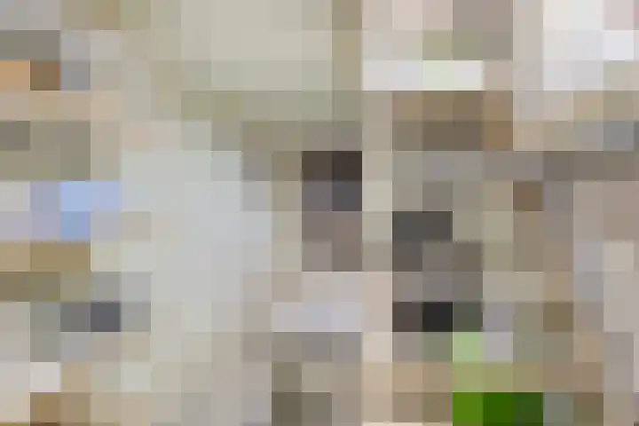 Heeckerenlaan 33 Zutphen thumbnail 24