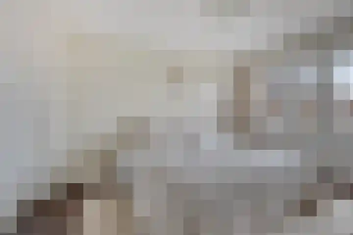 Heeckerenlaan 33 Zutphen thumbnail 29