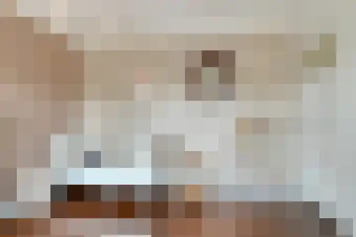Heeckerenlaan 33 Zutphen thumbnail 40