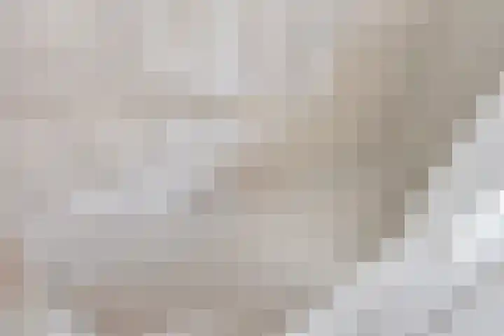 Heeckerenlaan 33 Zutphen thumbnail 41