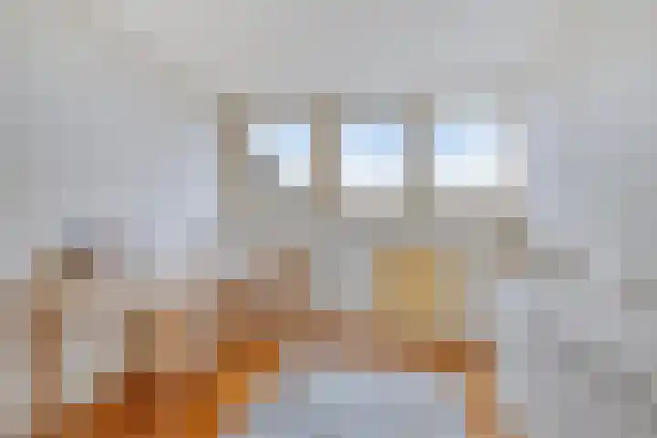 Heeckerenlaan 33 Zutphen thumbnail 46