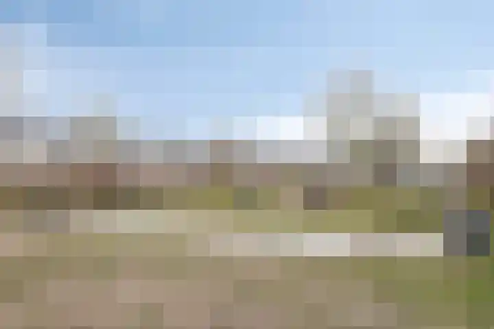 Heeckerenlaan 33 Zutphen thumbnail 54