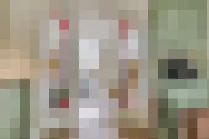 Heeckerenlaan 47 Zutphen thumbnail 10
