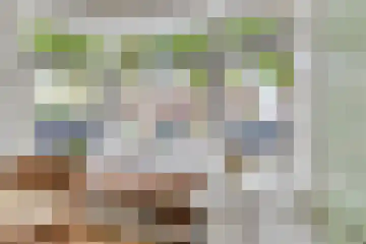 Heeckerenlaan 47 Zutphen thumbnail 13