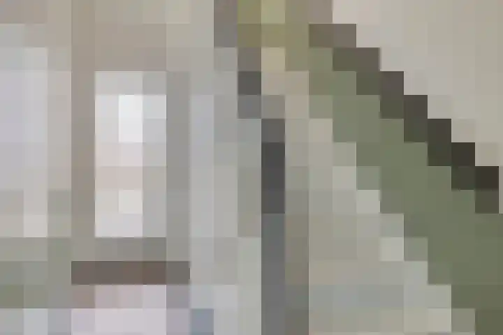 Heeckerenlaan 47 Zutphen thumbnail 20