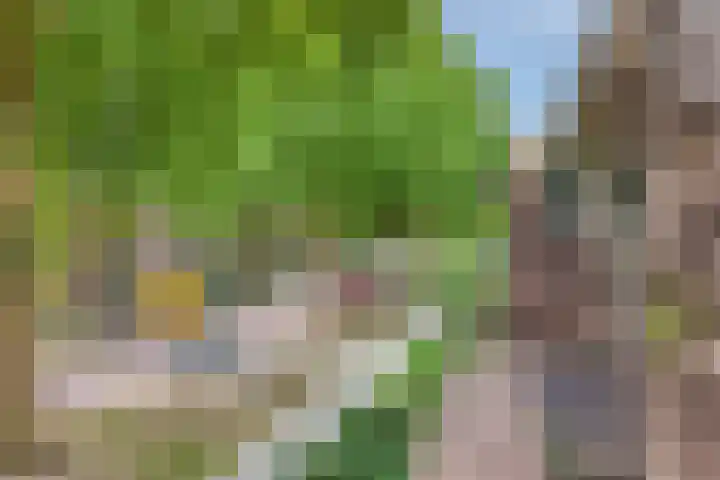 Heeckerenlaan 47 Zutphen thumbnail 27
