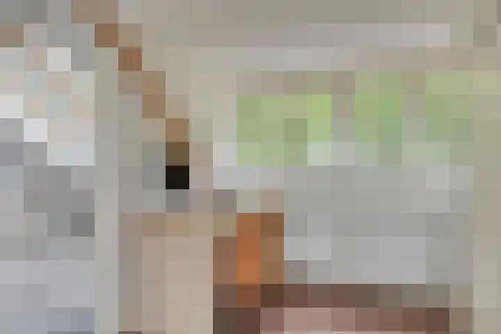 Heeckerenlaan 47 Zutphen thumbnail 33