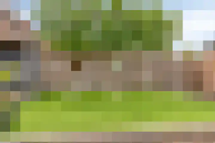 Heeckerenlaan 47 Zutphen thumbnail 41