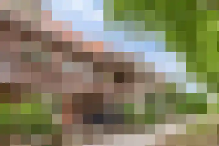 Heeckerenlaan 47 Zutphen thumbnail 43