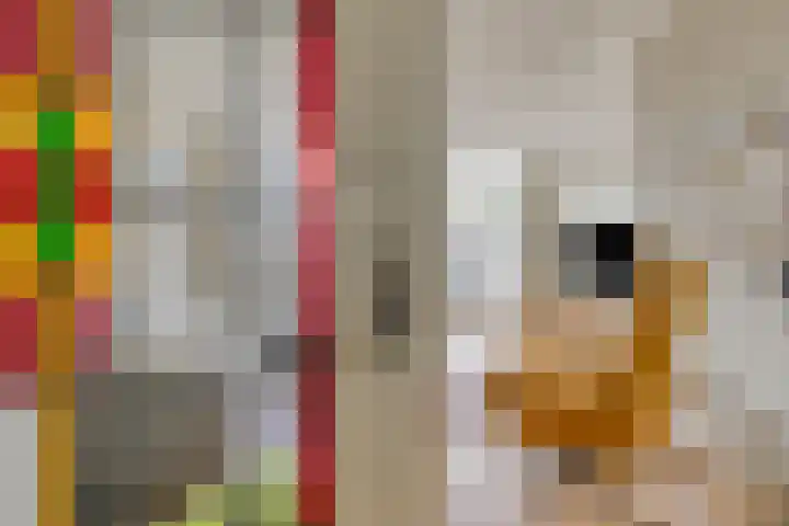 Heeckerenlaan 47 Zutphen thumbnail 8