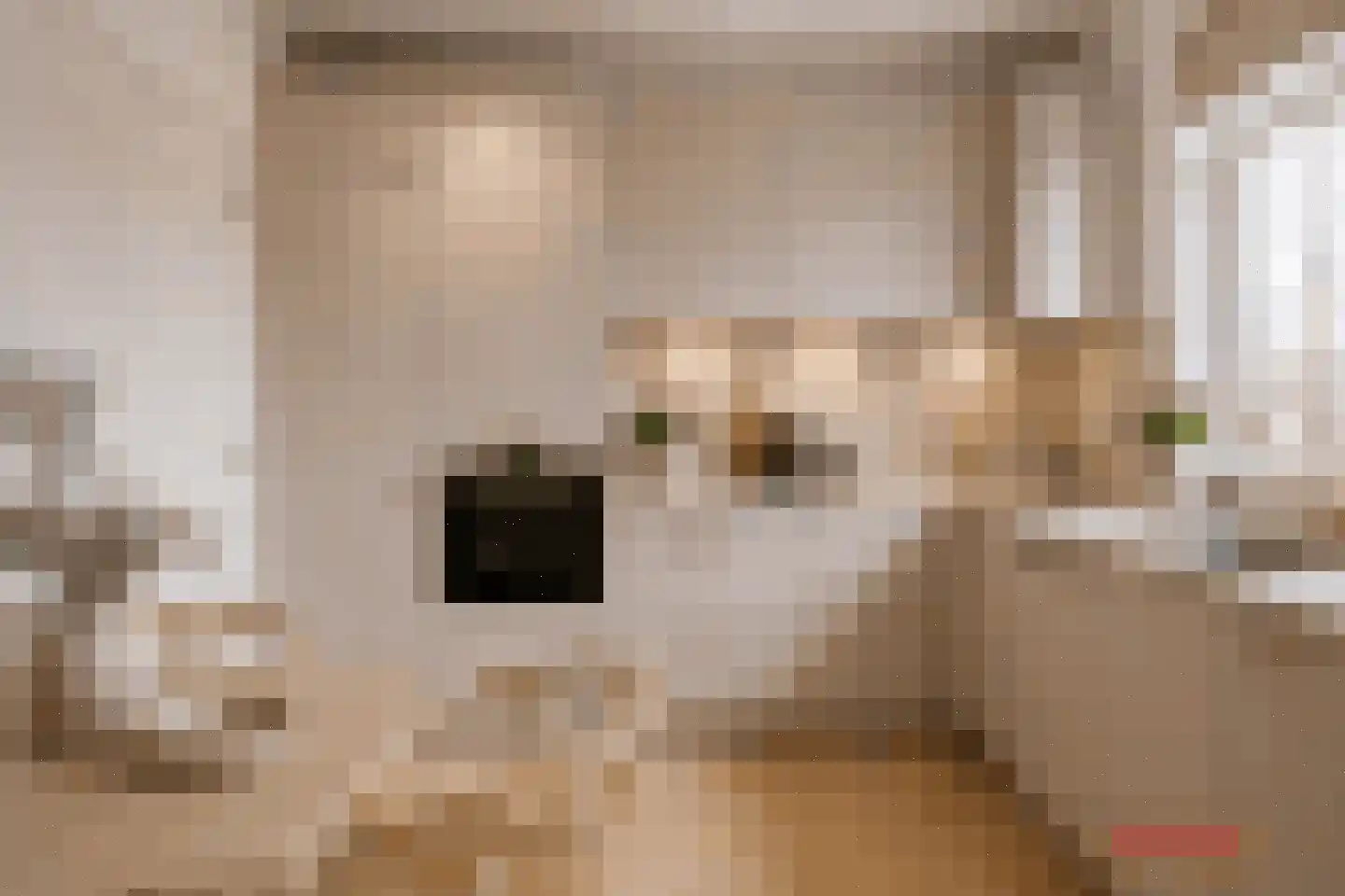 Heeckerenlaan 6 Enschede thumbnail 13