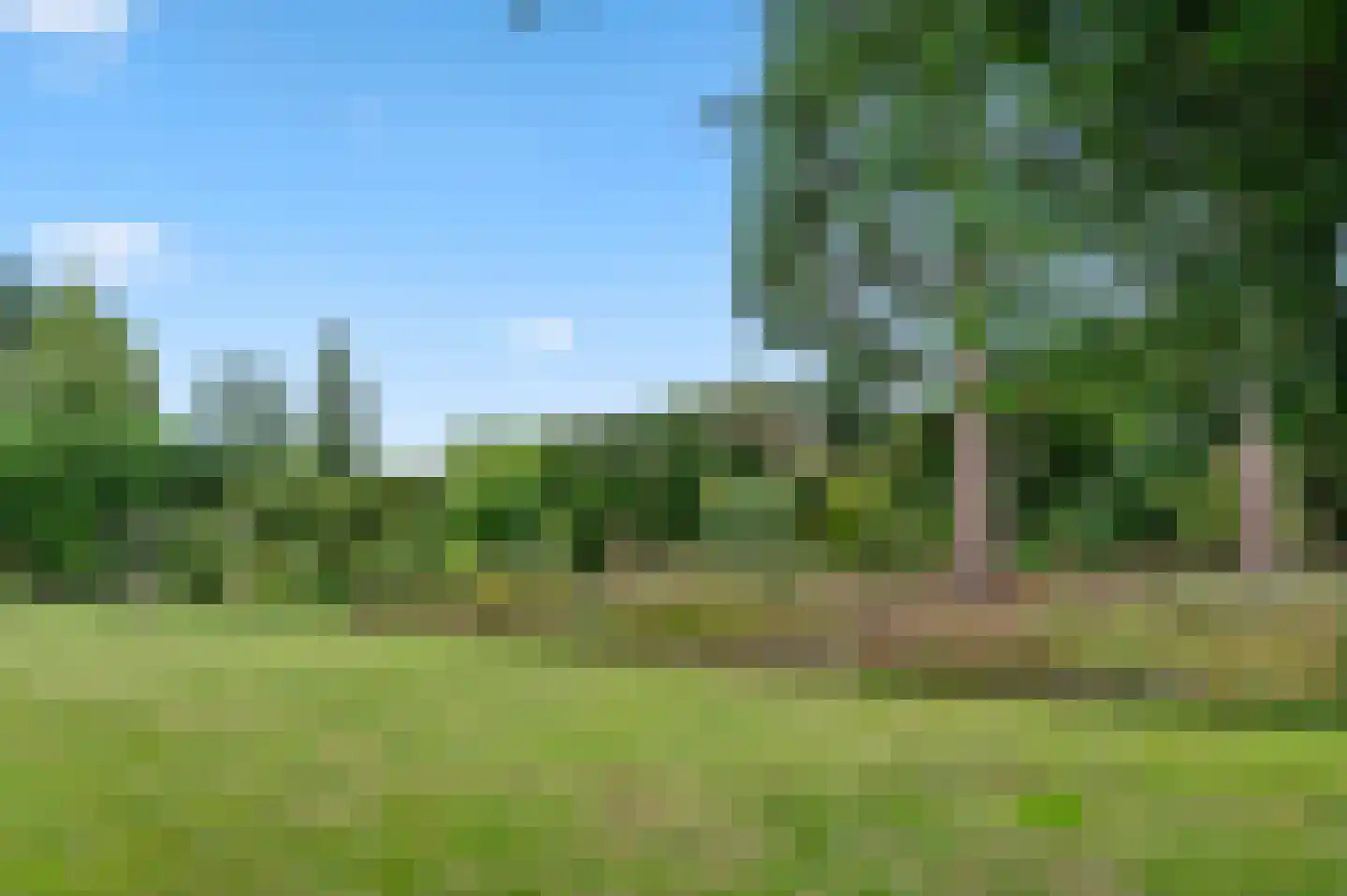 Heeckerenlaan 6 Enschede thumbnail 24