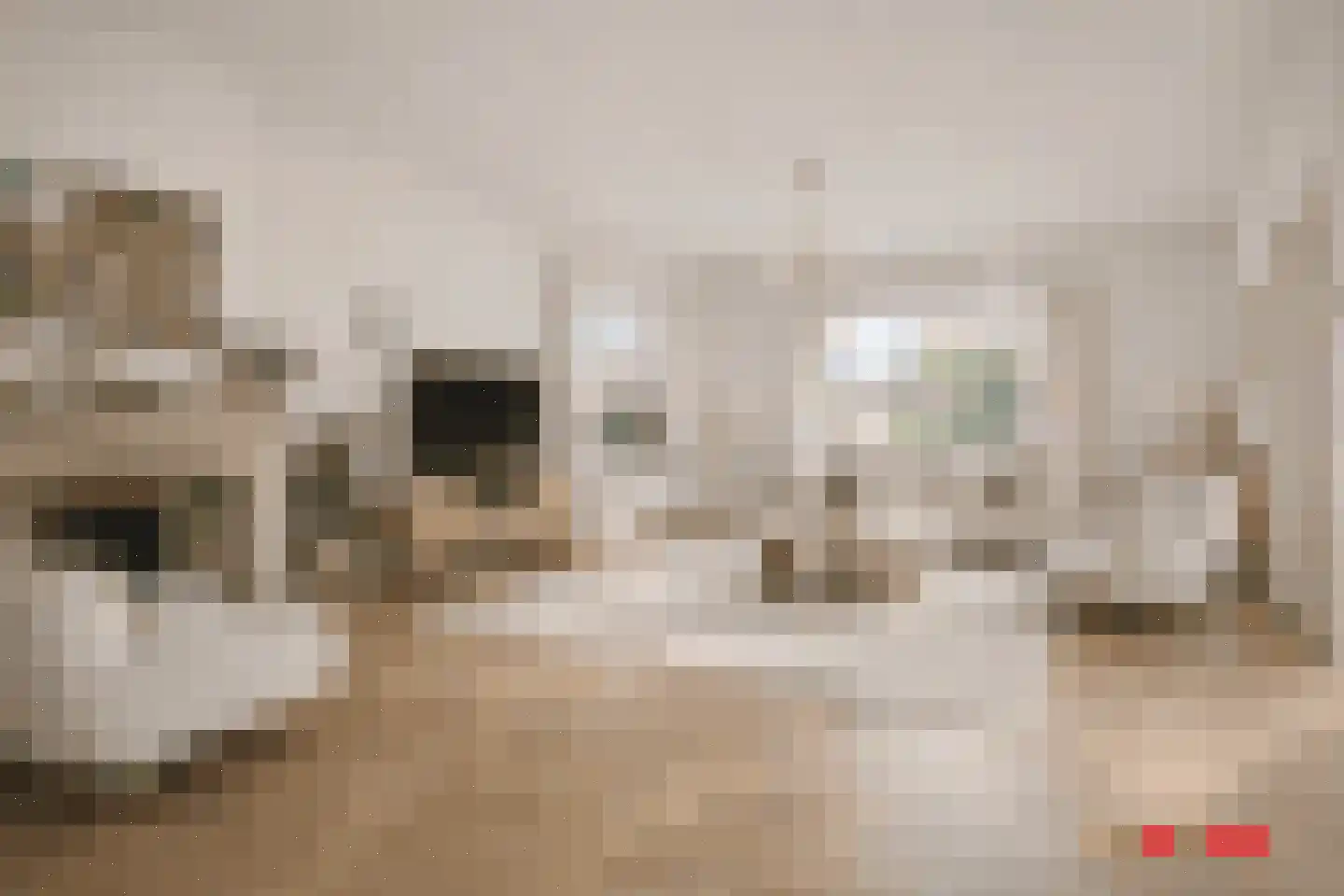 Heeckerenlaan 6 Enschede thumbnail 8