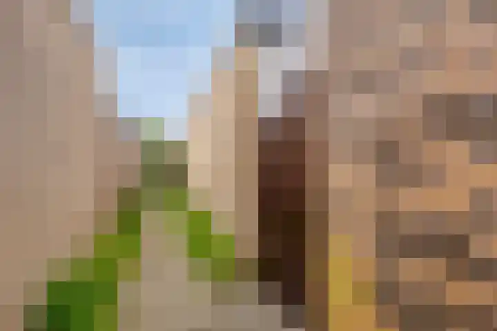 Heeckerenstraat 23 Breda thumbnail 23