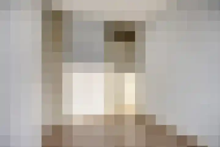 Heeckerenstraat 23 Breda thumbnail 32