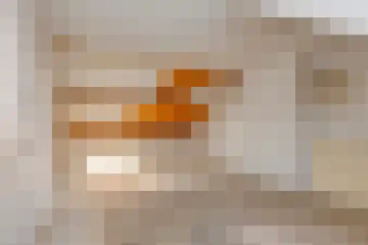 Heeckerenstraat 23 Breda thumbnail 43