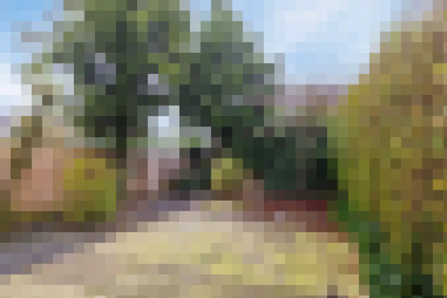 Heeckerenstraat 33 Breda thumbnail 17