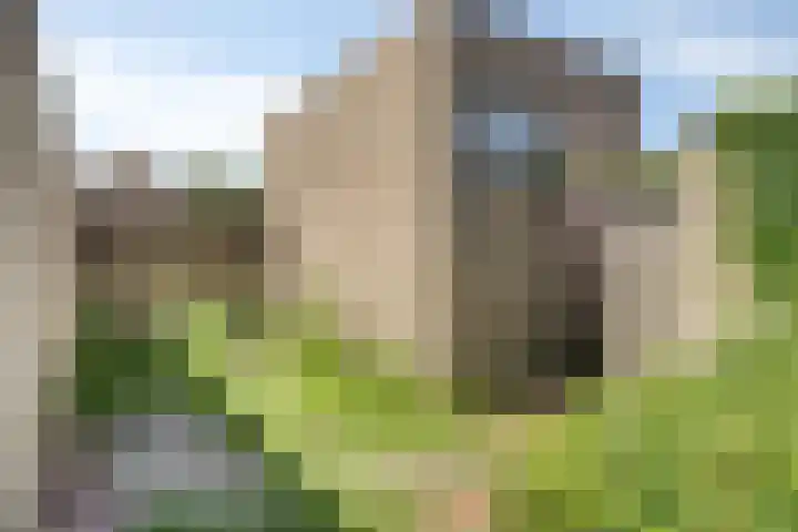Heeckerenstraat 87 Breda thumbnail 21