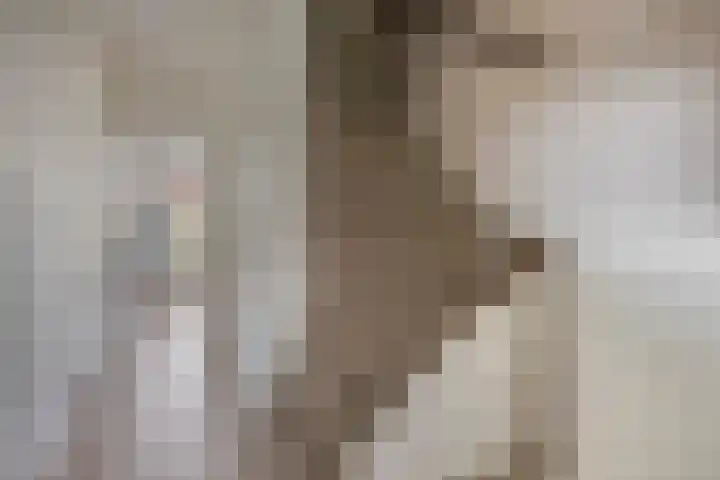 Heeckerenstraat 87 Breda thumbnail 9
