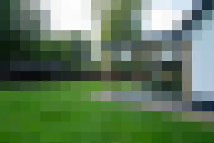 Heegderweg 46 Uddel thumbnail 40