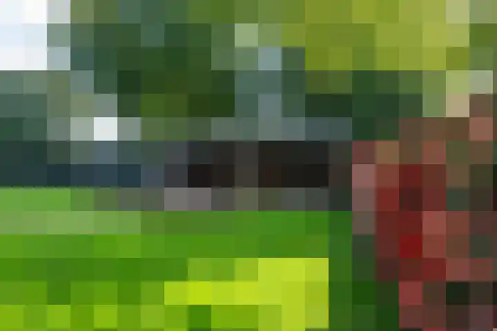 Heegderweg 46 Uddel thumbnail 41