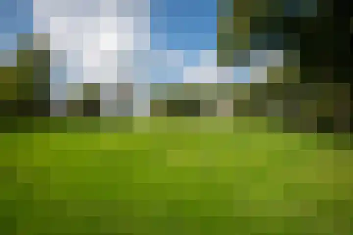 Heegderweg 46 Uddel thumbnail 44