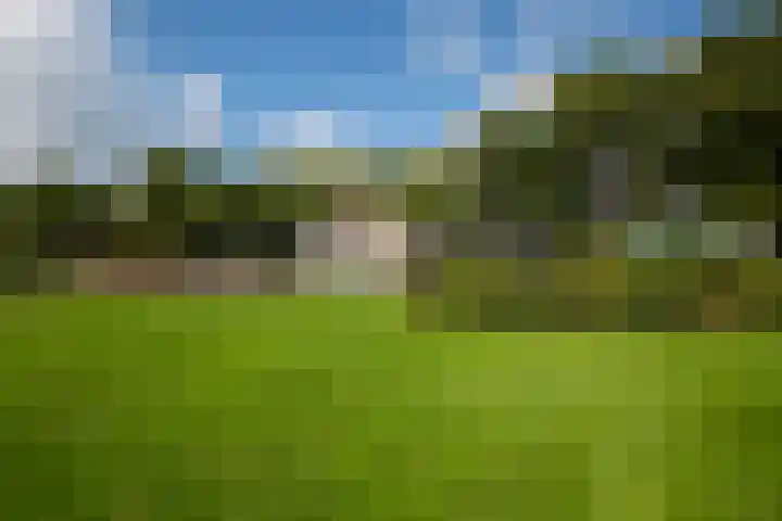 Heegderweg 46 Uddel thumbnail 48