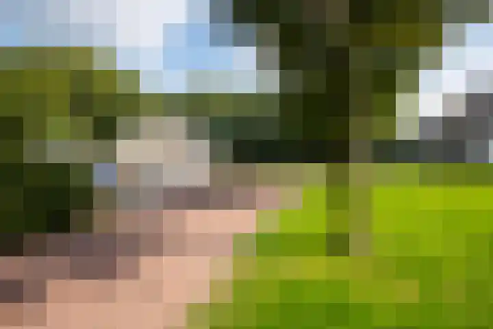 Heegderweg 46 Uddel thumbnail 50