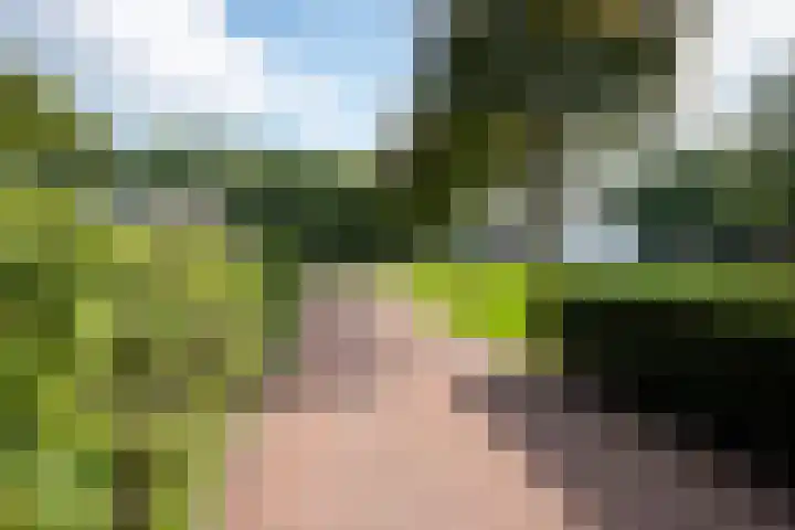 Heegderweg 46 Uddel thumbnail 51