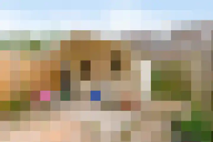 Heegermeer 54 Rotterdam thumbnail 4