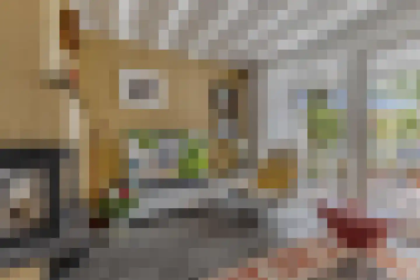 Heegermeerstraat 13 Lemmer thumbnail 14