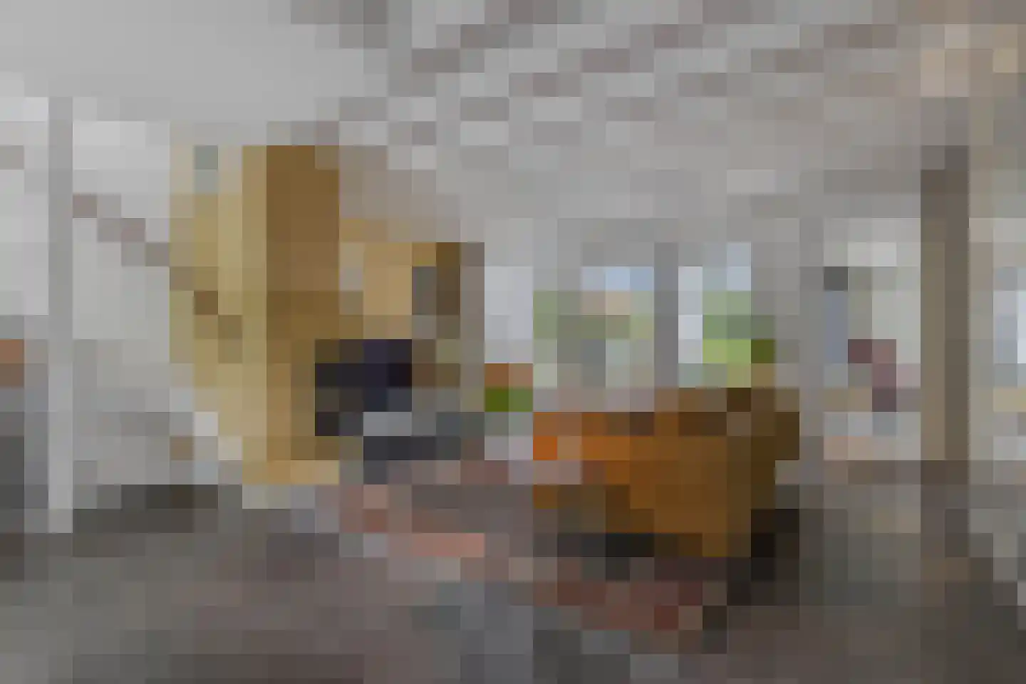 Heegermeerstraat 13 Lemmer thumbnail 9