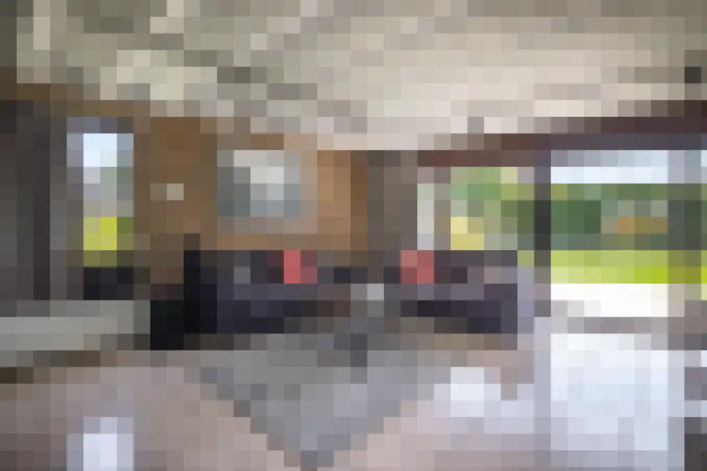 Heegermeerstraat 14 Lemmer thumbnail 18