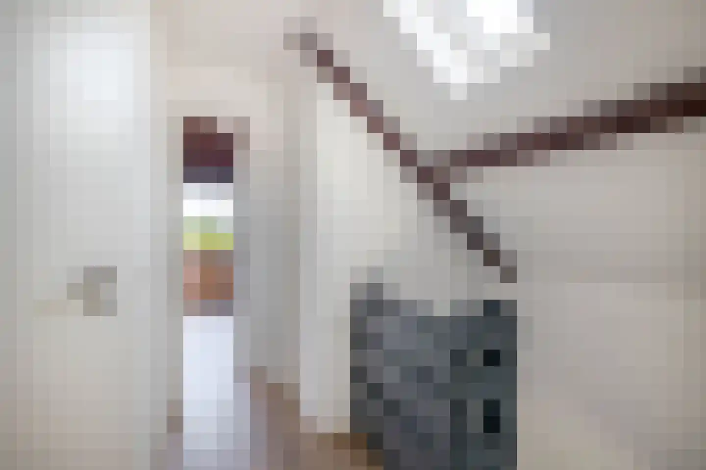 Heegermeerstraat 14 Lemmer thumbnail 21