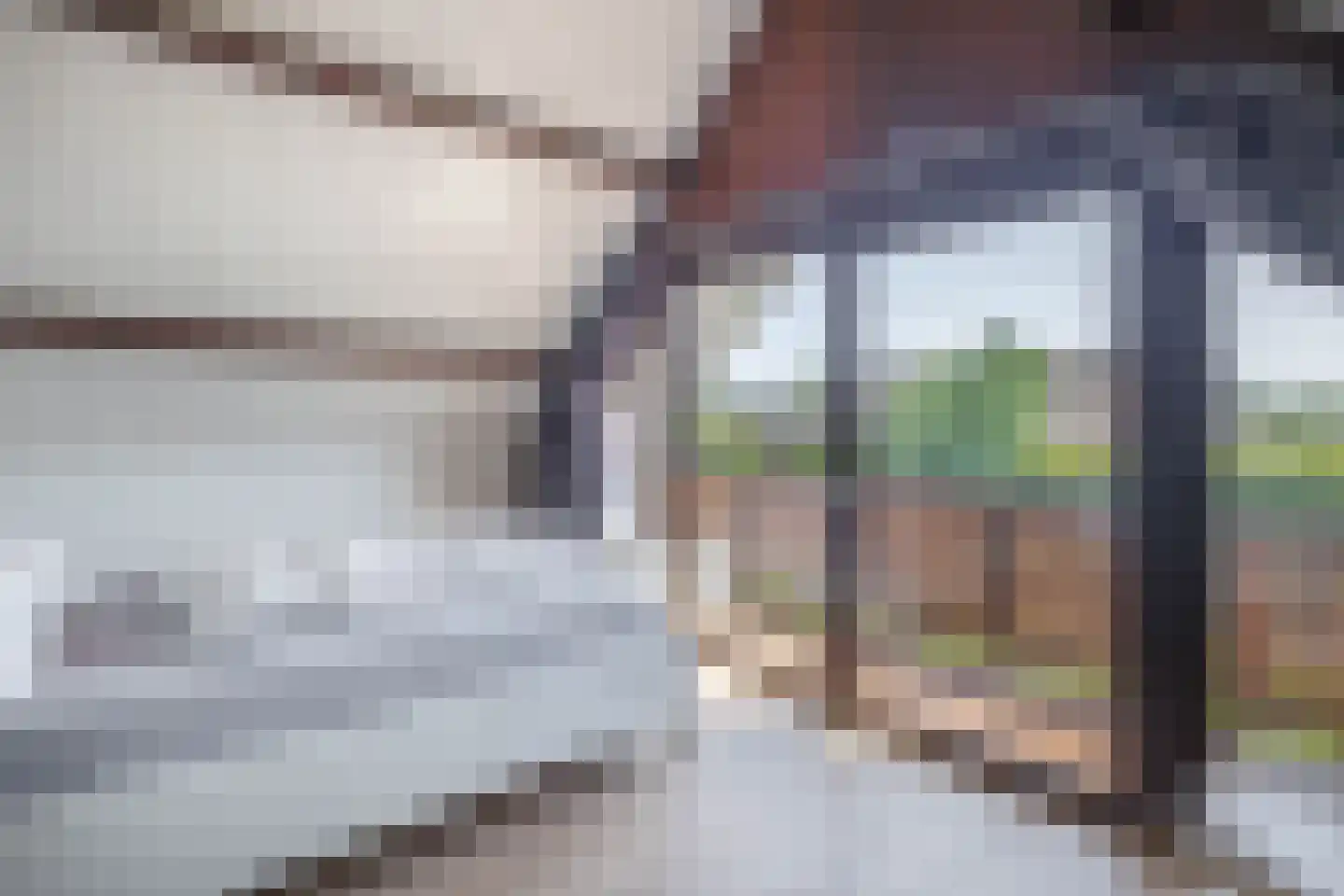 Heegermeerstraat 14 Lemmer thumbnail 22