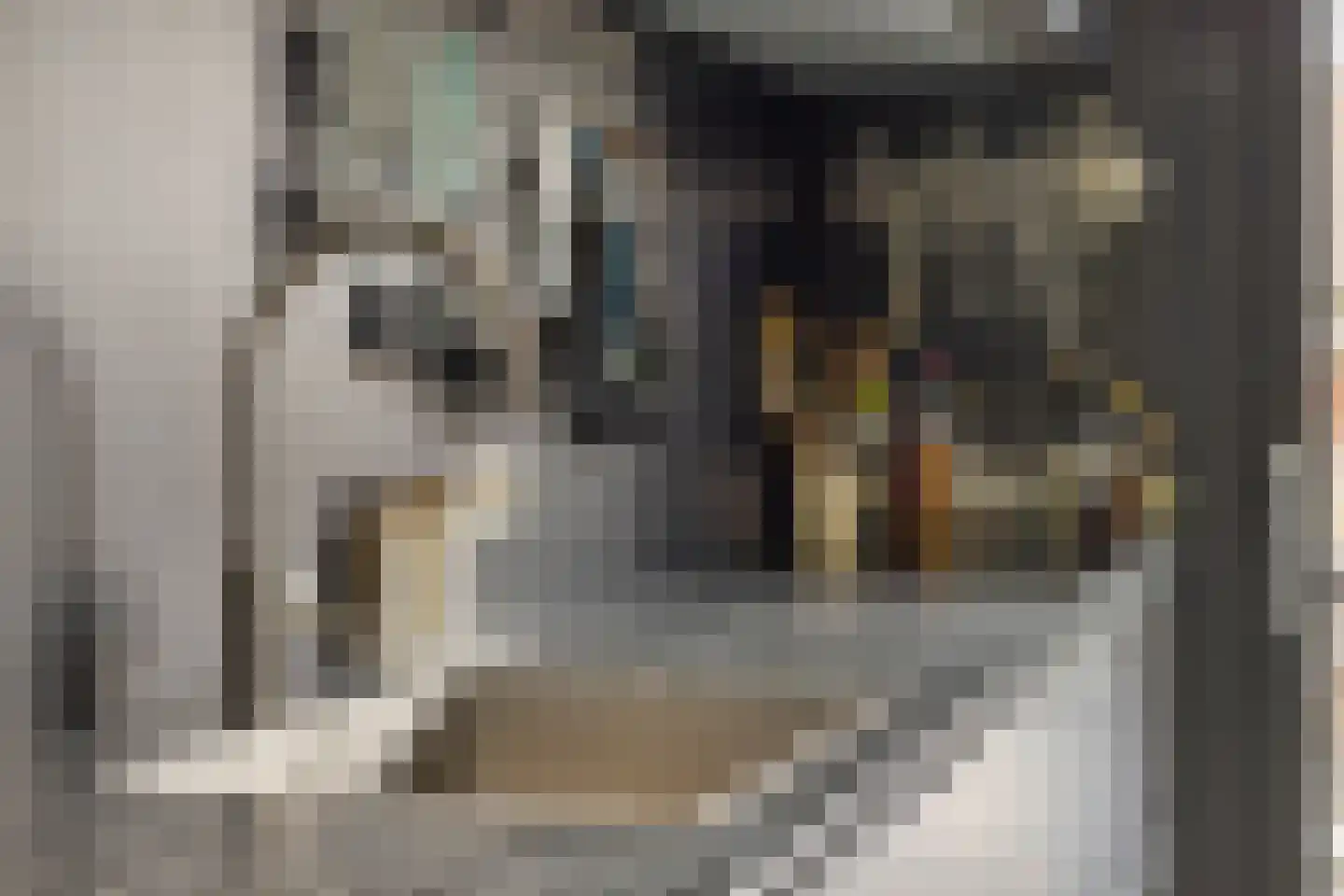 Heegermeerstraat 27 Lemmer thumbnail 16