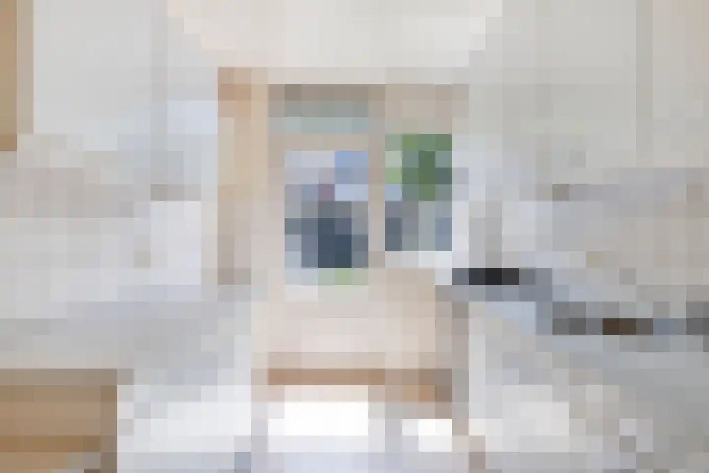 Heeghtakker 14 Eindhoven thumbnail 12