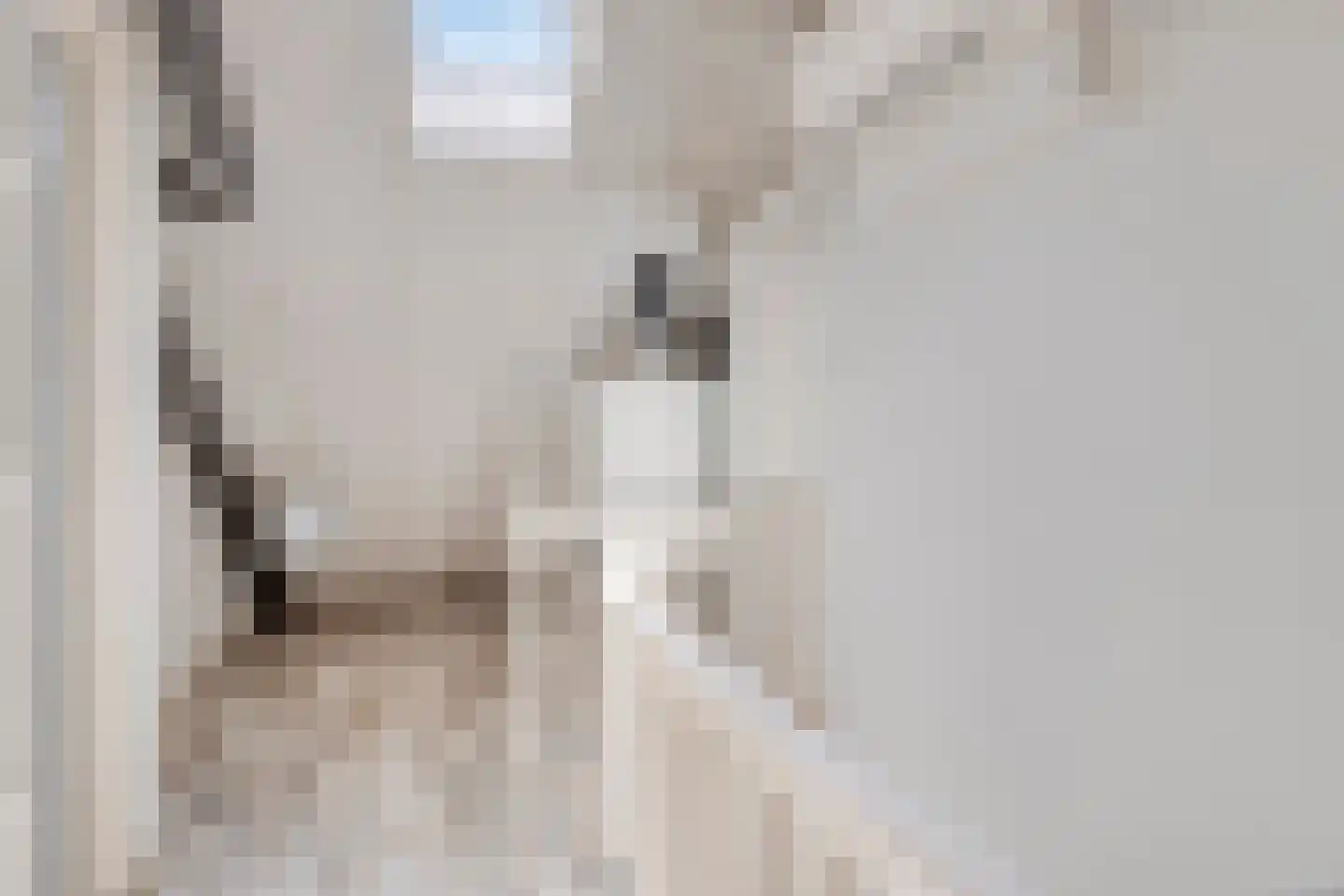 Heeghtakker 14 Eindhoven thumbnail 23