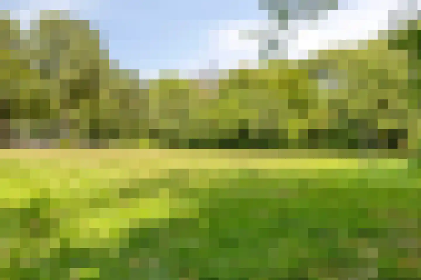 Heeghtakker 14 Eindhoven thumbnail 33