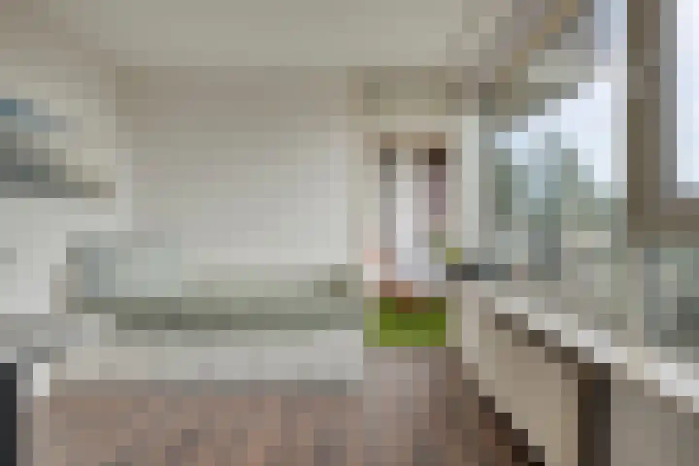 Heeghtakker 60 A Eindhoven thumbnail 11